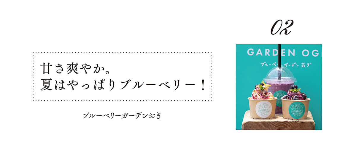 ブルーベリーガーデンおぎ